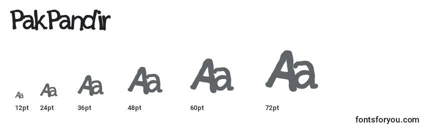 PakPandir Font Sizes