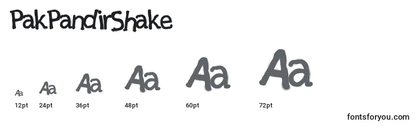 PakPandirShake Font Sizes