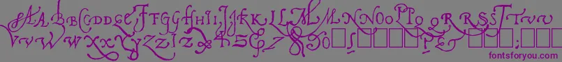 Pal Antic-Schriftart – Violette Schriften auf grauem Hintergrund