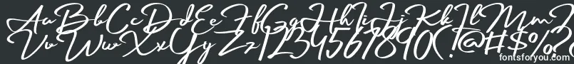 Palmark-fontti – valkoiset fontit mustalla taustalla
