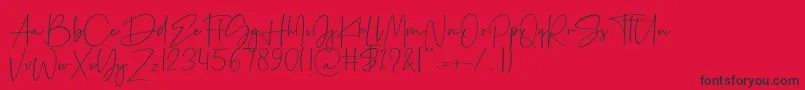 フォントPalmaton – 赤い背景に黒い文字