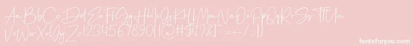 Palmaton Font – White Fonts on Pink Background