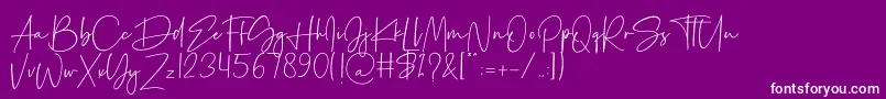 Palmaton Font – White Fonts on Purple Background