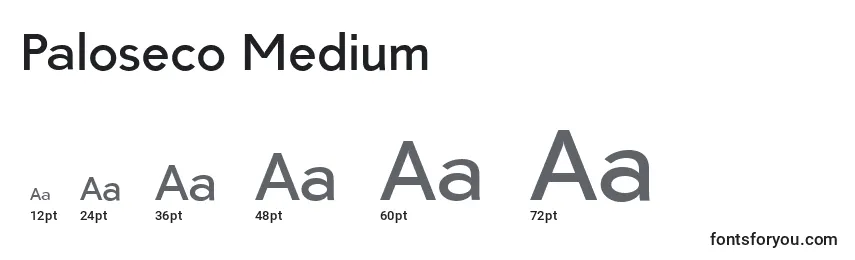 Размеры шрифта Paloseco Medium