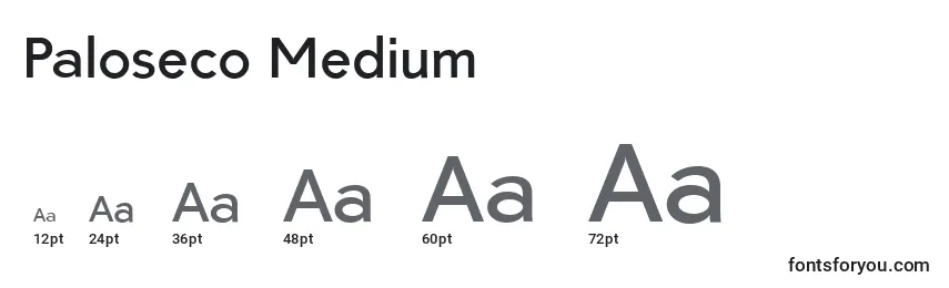 Tamanhos de fonte Paloseco Medium