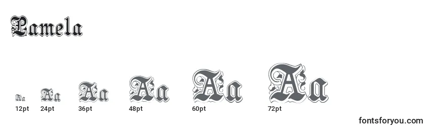 Размеры шрифта Pamela (136433)