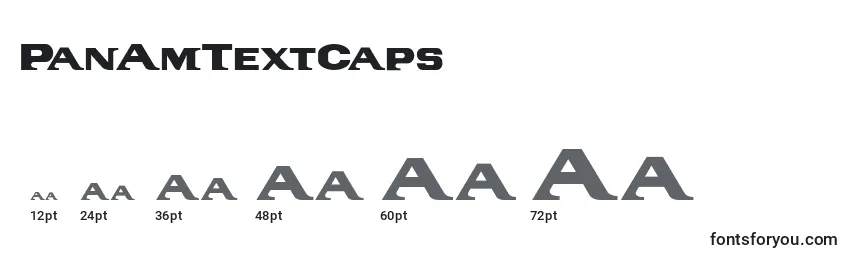 Размеры шрифта PanAmTextCaps (136434)