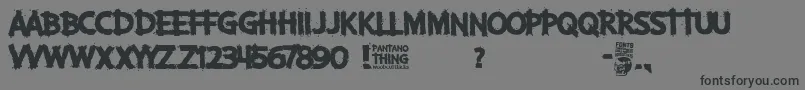 Pantano Thing Font – Black Fonts on Gray Background