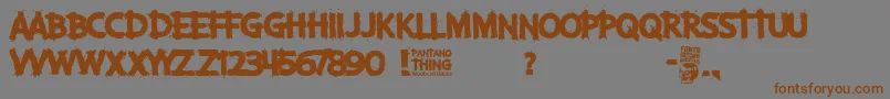 Pantano Thing Font – Brown Fonts on Gray Background