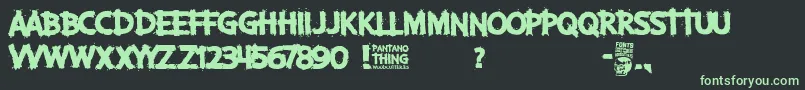 Pantano Thing Font – Green Fonts on Black Background