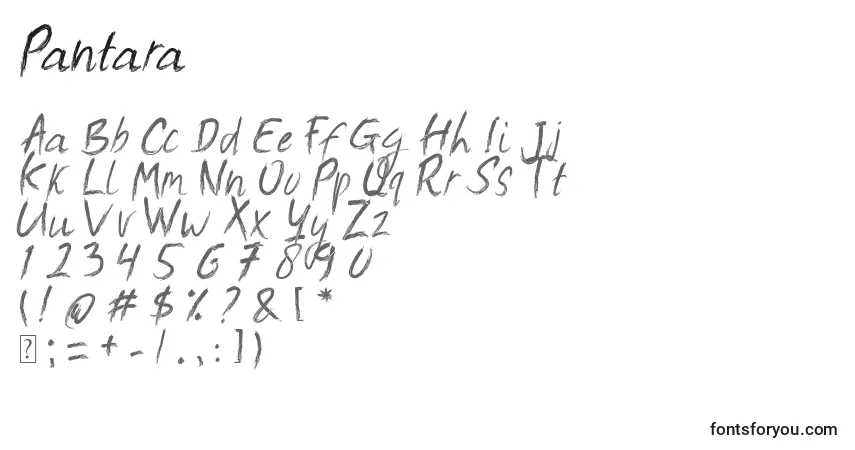 Czcionka Pantara – alfabet, cyfry, specjalne znaki
