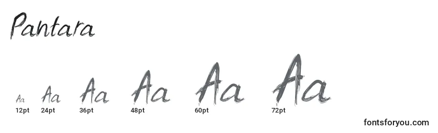 Pantara Font Sizes