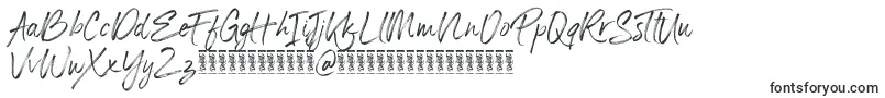 Panterick Demo Version Font – Fonts for business cards