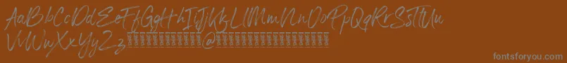 Panterick Demo Version Font – Gray Fonts on Brown Background