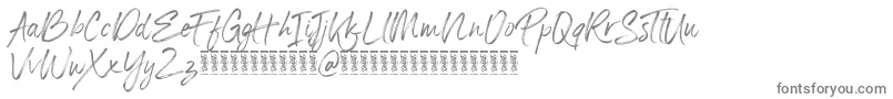 Panterick Demo Version Font – Gray Fonts