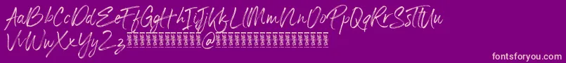 Panterick Demo Version Font – Pink Fonts on Purple Background