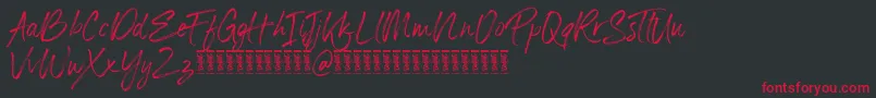 Panterick Demo Version Font – Red Fonts on Black Background
