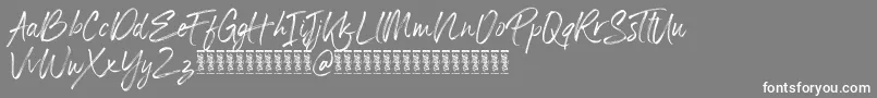 Panterick Demo Version Font – White Fonts on Gray Background