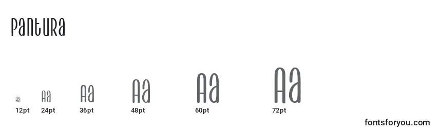 Размеры шрифта Pantura