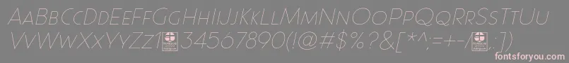 Шрифт Paque Grotesque Thin Italic Demo – розовые шрифты на сером фоне