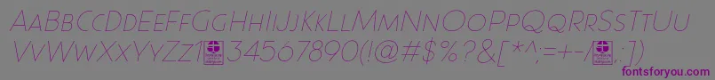Paque Grotesque Thin Italic Demo-Schriftart – Violette Schriften auf grauem Hintergrund