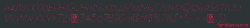 Paque Grotesque Thin Italic Demo Font – Red Fonts on Black Background