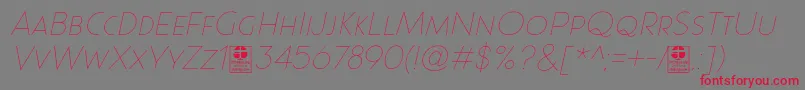 Paque Grotesque Thin Italic Demo Font – Red Fonts on Gray Background