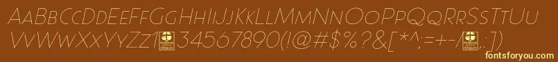 Paque Grotesque Thin Italic Demo-fontti – keltaiset fontit ruskealla taustalla