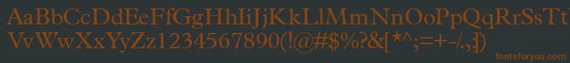 Terminusssk Font – Brown Fonts on Black Background