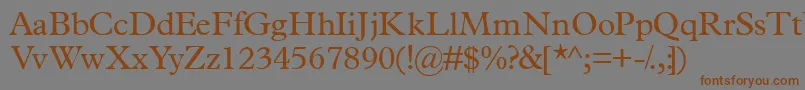 Terminusssk Font – Brown Fonts on Gray Background