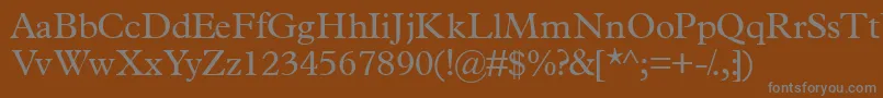 Terminusssk Font – Gray Fonts on Brown Background