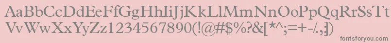 Terminusssk Font – Gray Fonts on Pink Background