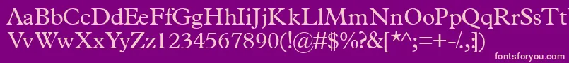 Terminusssk Font – Pink Fonts on Purple Background