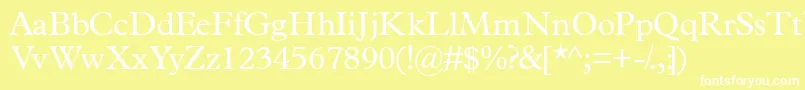Terminusssk Font – White Fonts on Yellow Background