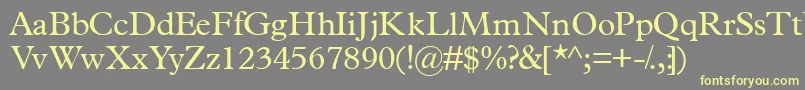 Terminusssk Font – Yellow Fonts on Gray Background