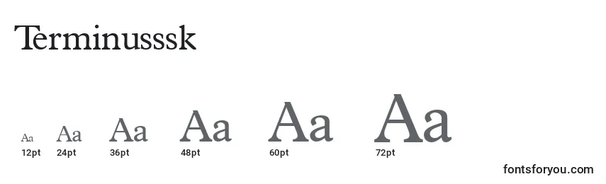 Terminusssk Font Sizes