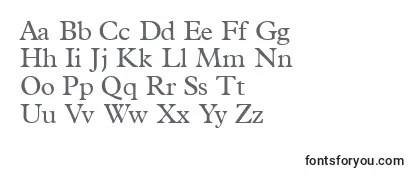 Terminusssk Font