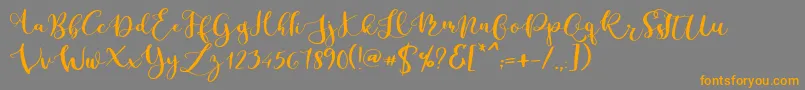 Parabellum Regular Font – Orange Fonts on Gray Background