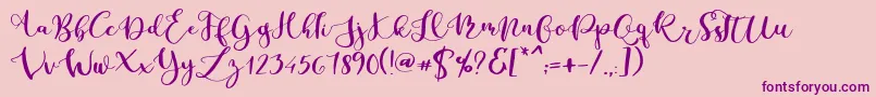 Parabellum Regular Font – Purple Fonts on Pink Background