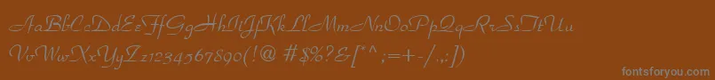 フォントparadise – 茶色の背景に灰色の文字