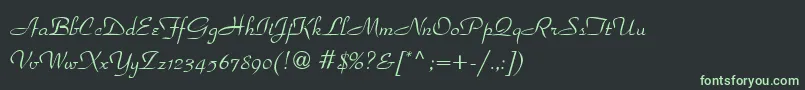 フォントparadise – 黒い背景に緑の文字