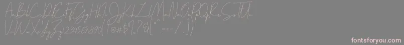 Parakan-Schriftart – Rosa Schriften auf grauem Hintergrund