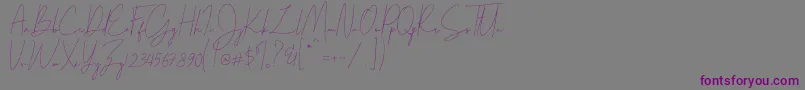 Parakan-Schriftart – Violette Schriften auf grauem Hintergrund