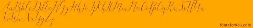 Parlinttons   Demo Font – Brown Fonts on Orange Background