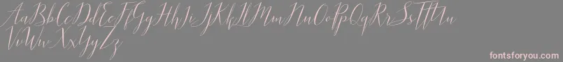 Parlinttons   Demo-Schriftart – Rosa Schriften auf grauem Hintergrund