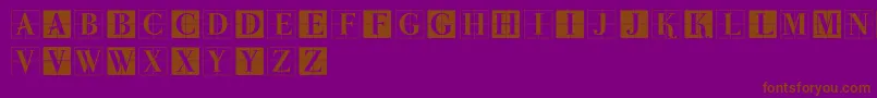 ParmaInitialenMK Font – Brown Fonts on Purple Background