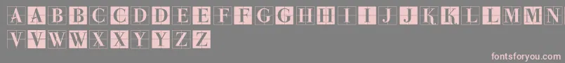 ParmaInitialenMK Font – Pink Fonts on Gray Background