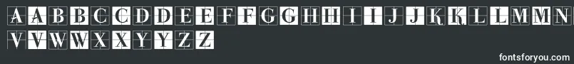 ParmaInitialenMK Font – White Fonts