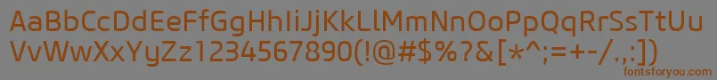 CoreSansM45Regular Font – Brown Fonts on Gray Background