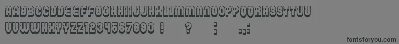 Password Font – Black Fonts on Gray Background